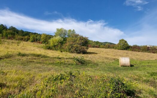 Ref 066 Amazing land