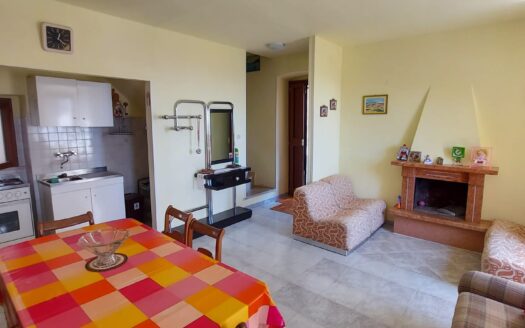 Ref 127 Detached townhouse with cellars